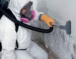 Why You Should Choose Our Mold Remediation Services in Wood River, IL